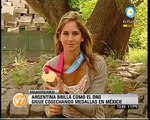 Visión Siete: Panamericanos: Argentina sigue cosechando medallas en México