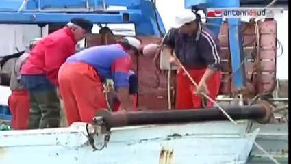 TGSRVago 19 pesca fermo biologico fino a settembre