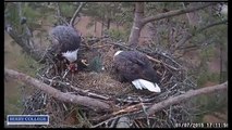 2015 01 07 Berry College Eagles:  Dinner Time/Evening