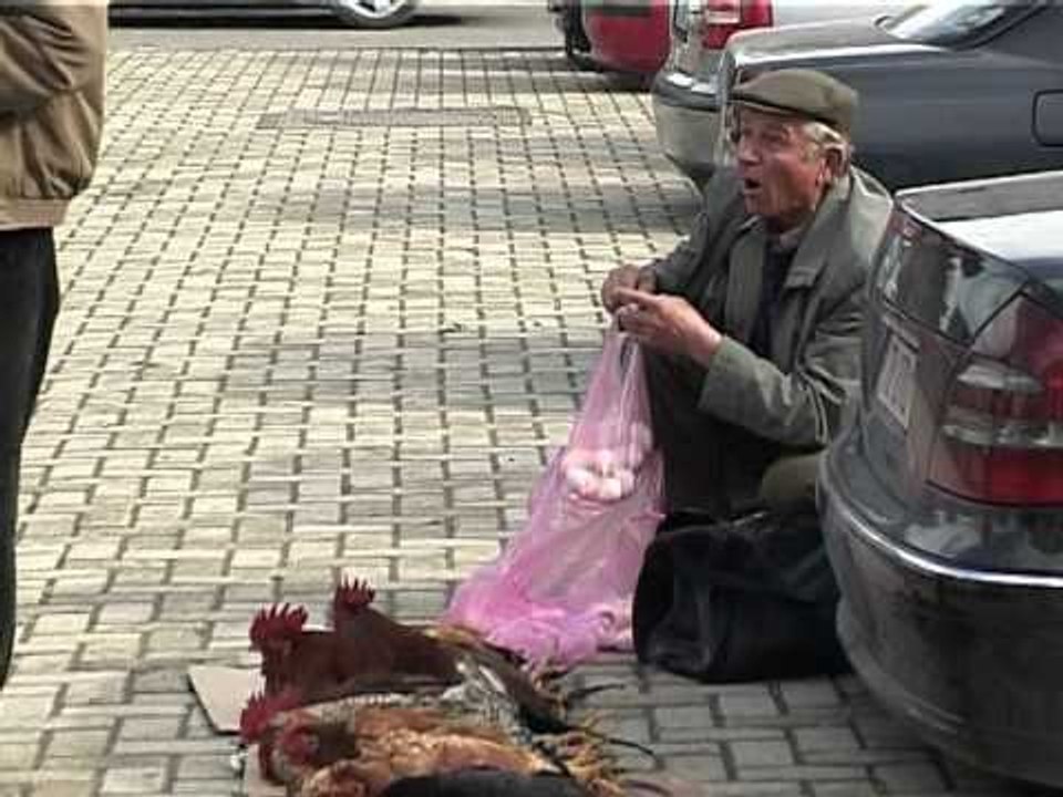 PULAT ETE PAZARI RI