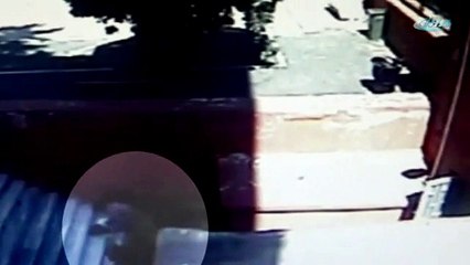 Dolmabahçe saldırganları güvenlik kamerasında