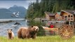 Wild Bear Adventure 2014! Grizzly Bears of Knight Inlet, B.C
