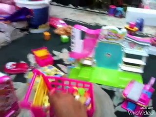 Ma collection de shopkins et ma première vidéo.