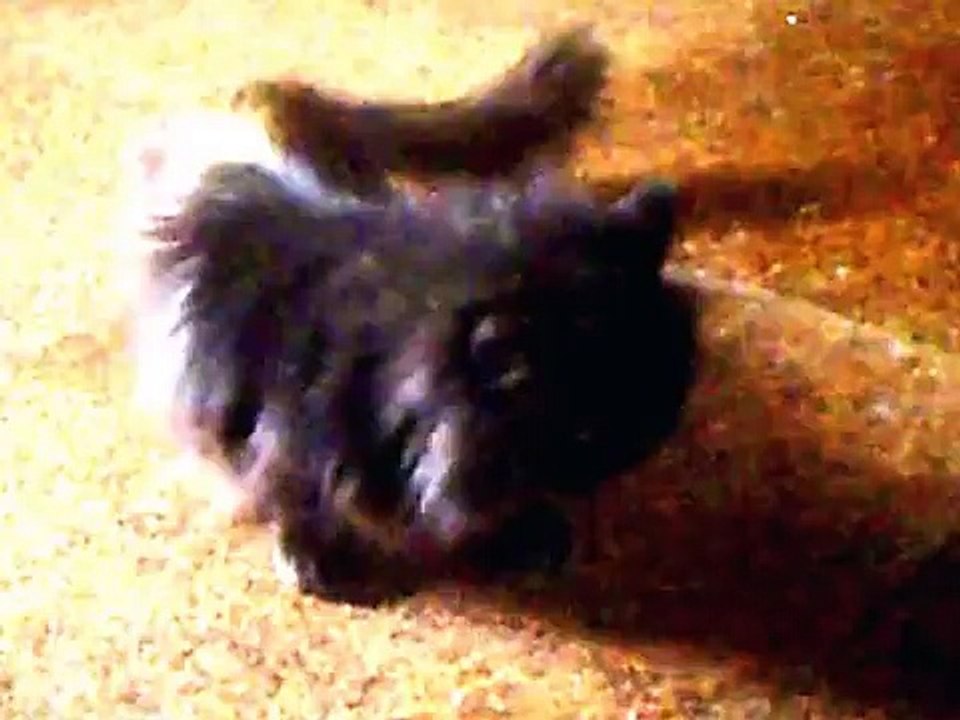 Sexuelle Belästigung