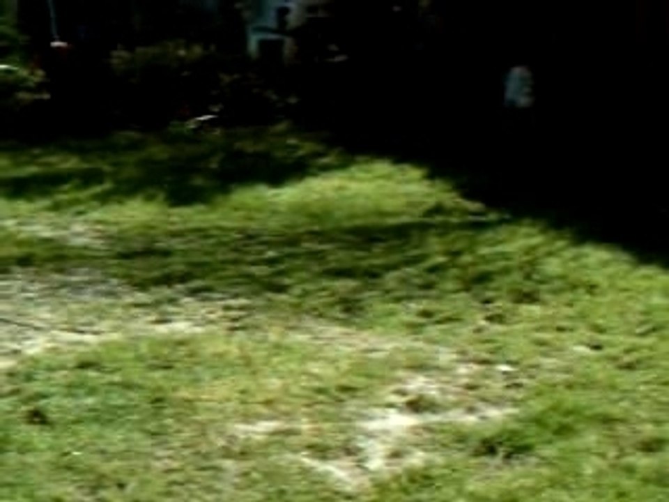 jeux dans le jardin