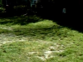 jeux dans le jardin