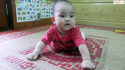 Vlog 147 Em Ngựa 6 Tháng Tuổi