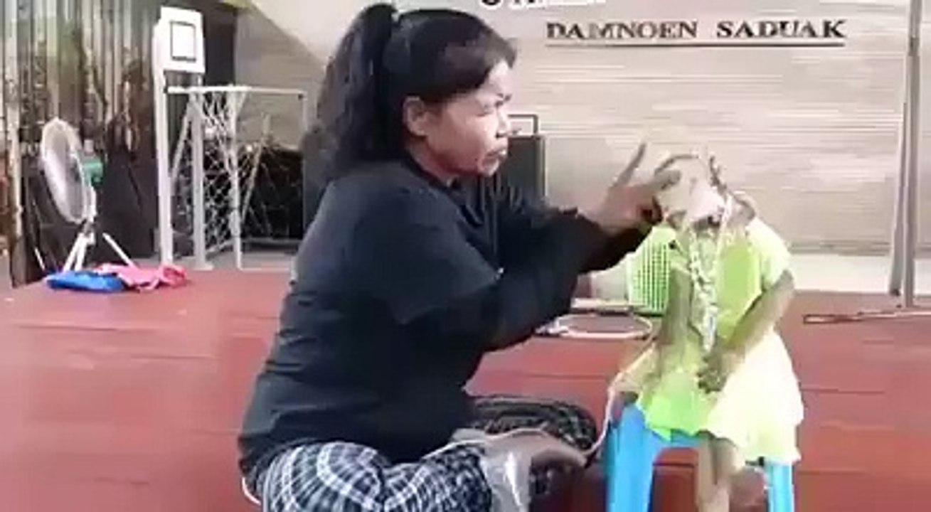 funny monkey makeup