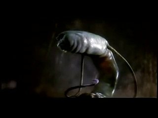 Domestos Millions of germs will die