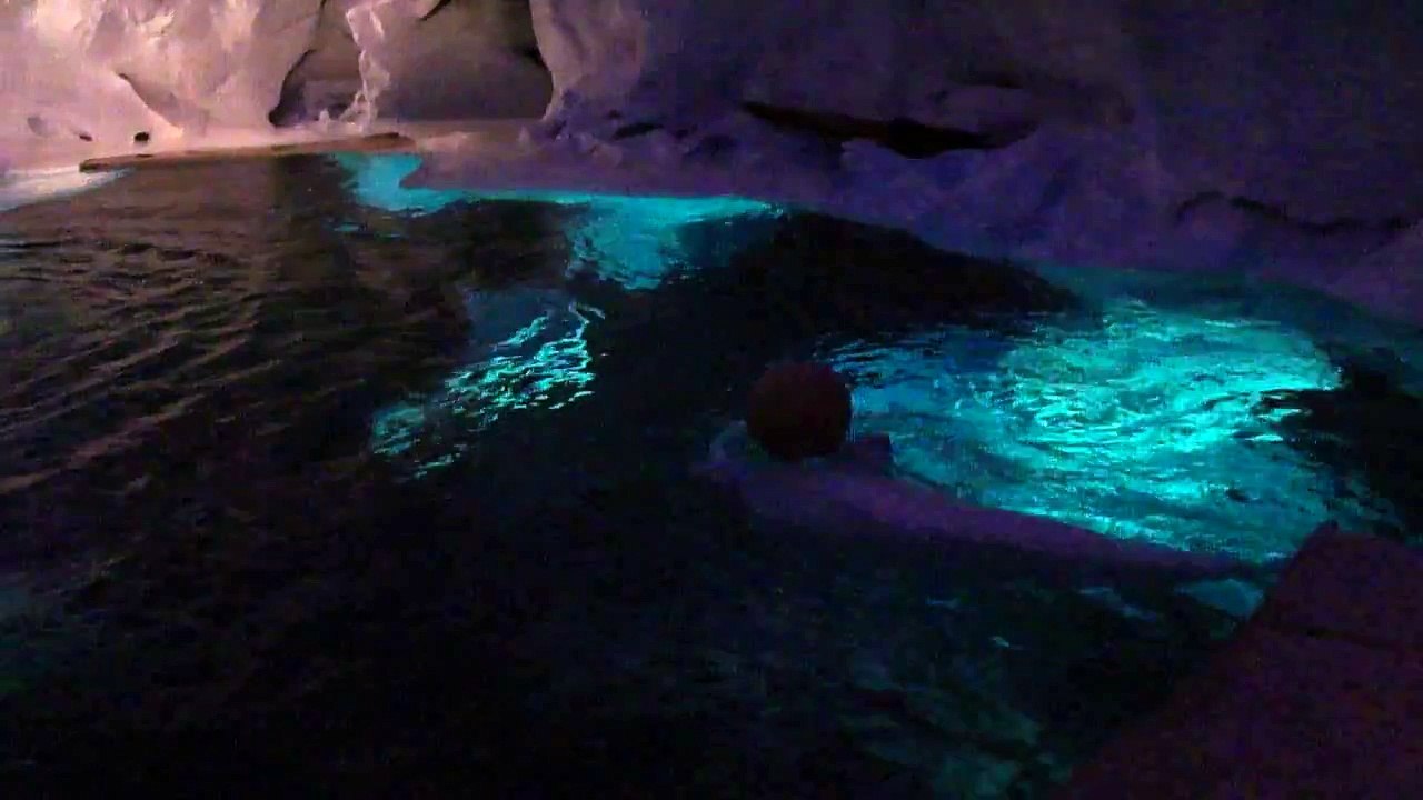 Beluga Whale shows playful side