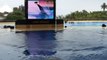 Orca Show @ Loro parque Tenerife 30-07-2010