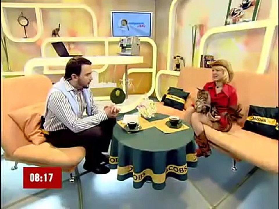 Новая порода котов Мейн Кун Большие коты!