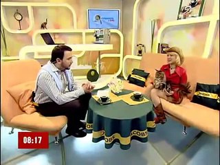 Новая порода котов Мейн Кун Большие коты!
