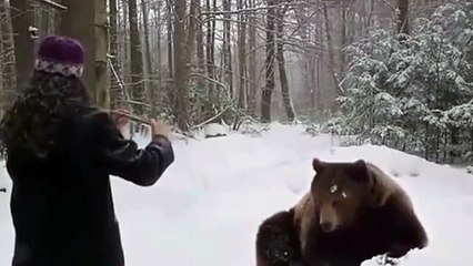 New Animal Funny Videos 2014 Flutist Lulls Bear To Sleep Funny Videos and x202c; and rlm;