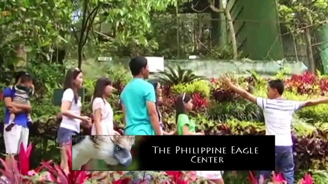 What is the expense of studying MBBS in Philippines?