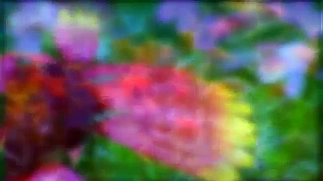 [Heavenly Revelations] The Landscape In Heaven Was Beyond Description