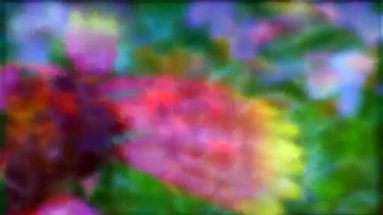 [Heavenly Revelations] The Landscape In Heaven Was Beyond Description