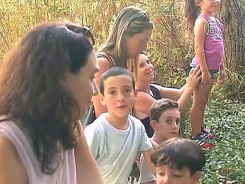 Редкая барханная кошка привела потомство в зоопарке Израиля