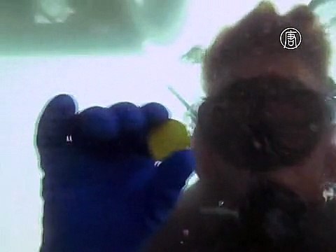 У побережья Флориды нашли клад золотых монет на $4,5 млн