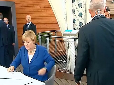 Германия: на протест вышли муравьи