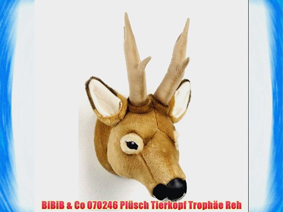 Bibib