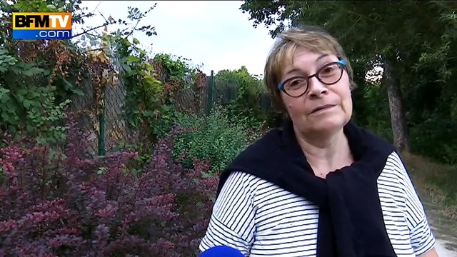 Des moustiques tigres à Paris et Créteil