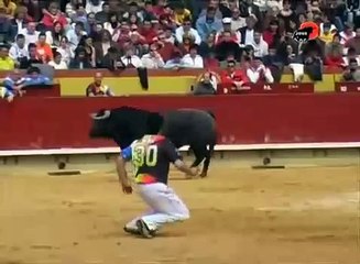 Systema / Aikido in a real bull fight