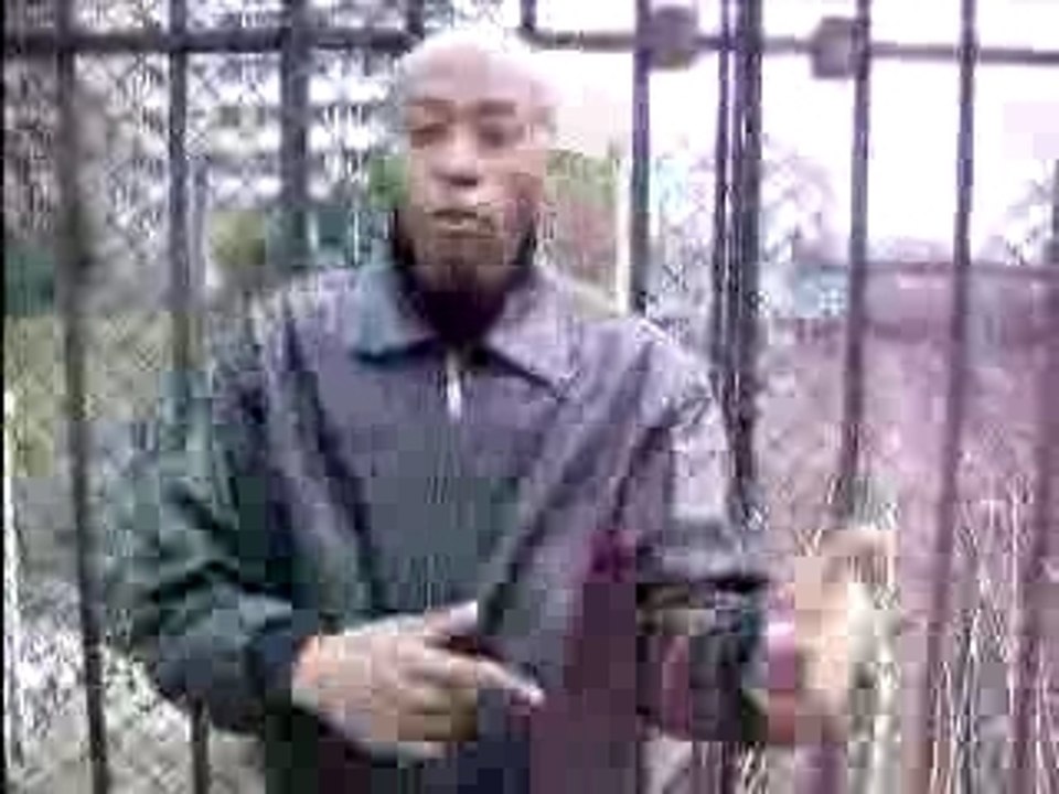 Imohar freestyle
