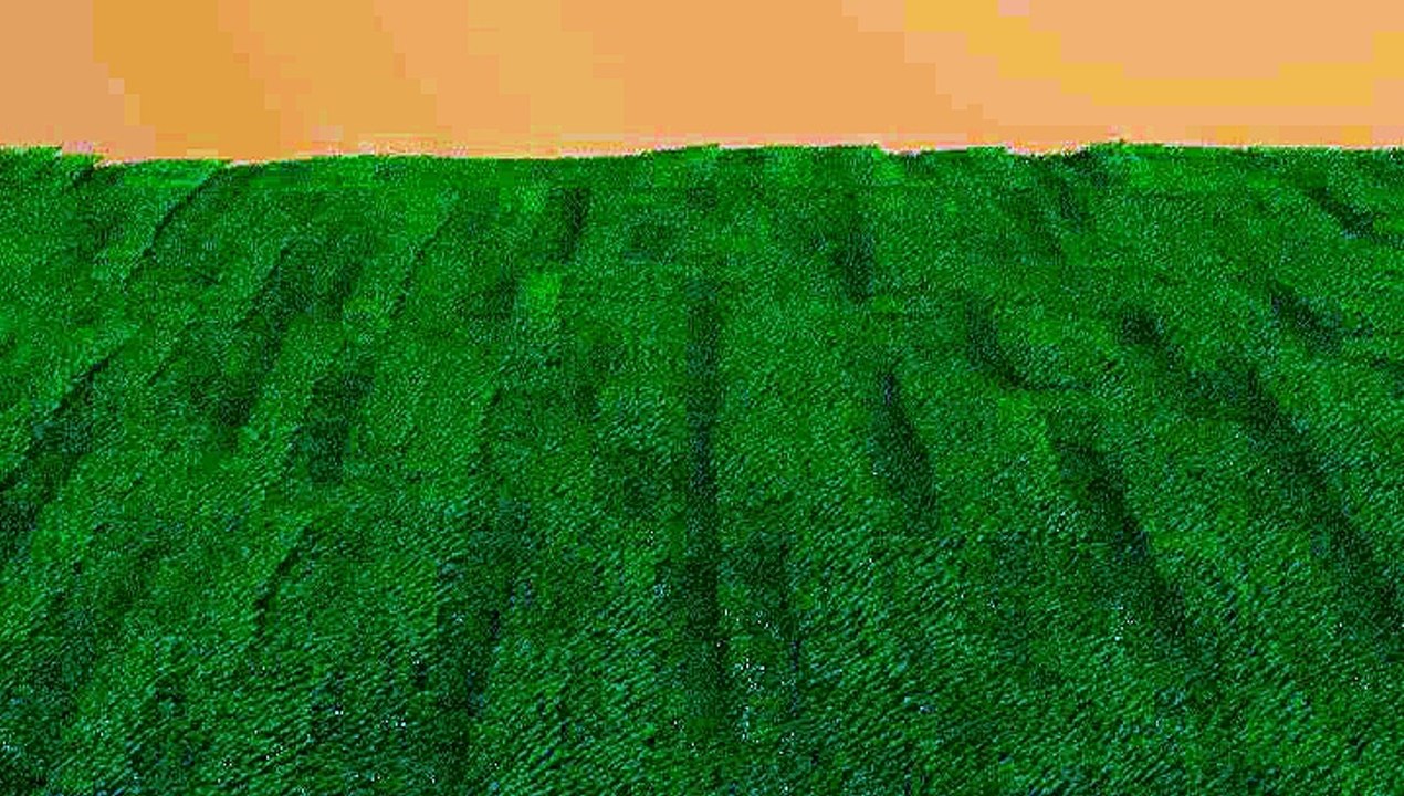 Bom Dia!!!