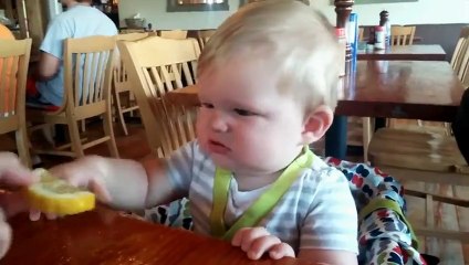 Babys First Experience eating lemons