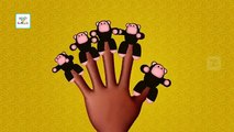 Monkey Animal Finger Family - Finger Family Rhyme - 3D Animation Nursery Rhymes & Songs for Children