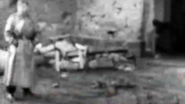 Waffen-SS - April,1945, Final Battle,Very Rare