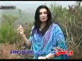 Afghan Pashto Songs    Best Of Naghma   Forever Hit Songs 13