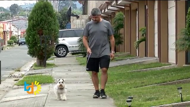 bd-cuidados-mascotas-200815