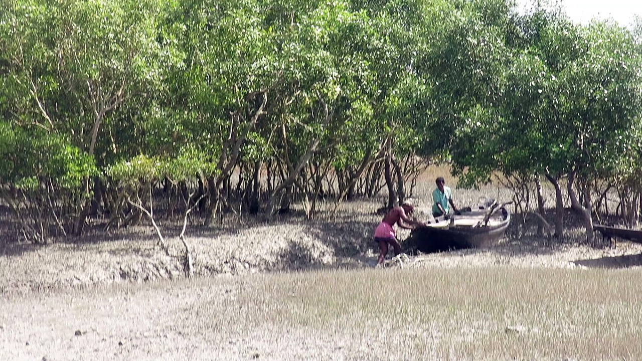 Pirogue Sunderbans (Inde)