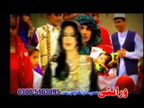Afghan Pashto Songs    Best Of Naghma   Forever Hit Songs 2