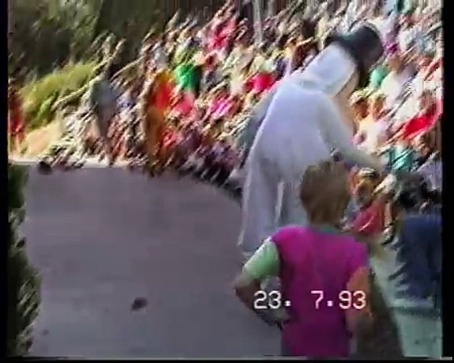 Naantalissa (23.7.1993) - kaupunki, Muumimaailma, Lintukoto