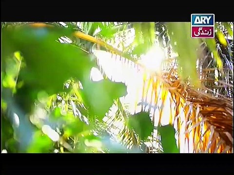 Behnein Aisi Bhi Hoti Hain Episode 281 Full on Ary Zindagi