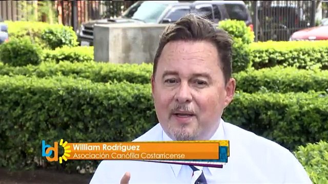 bd-registrar-mascotas-200815