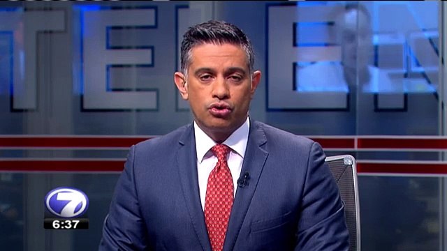 tn7-arañas-argentina-200815