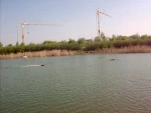 3ème essais de mon micobra