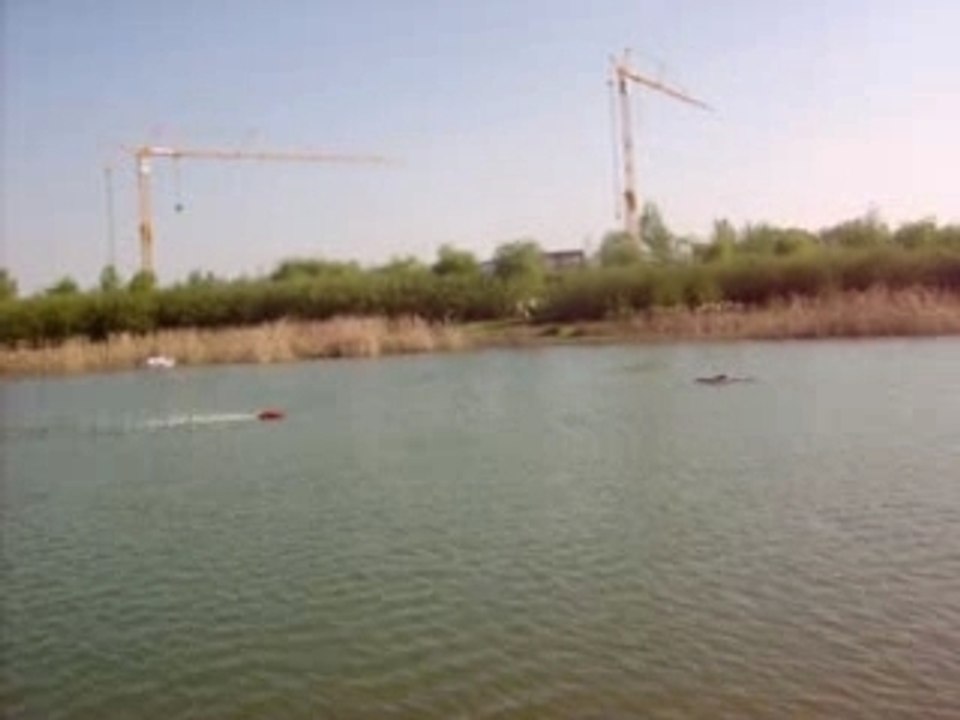 3ème essais de mon micobra