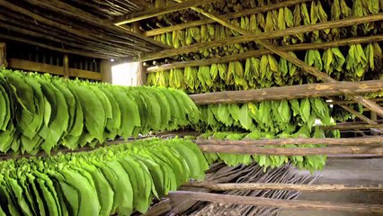 Souza Cruz paga caro para sair de vez da bolsa