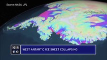 Studies Show West Antarctic Ice Sheet Is Collapsing