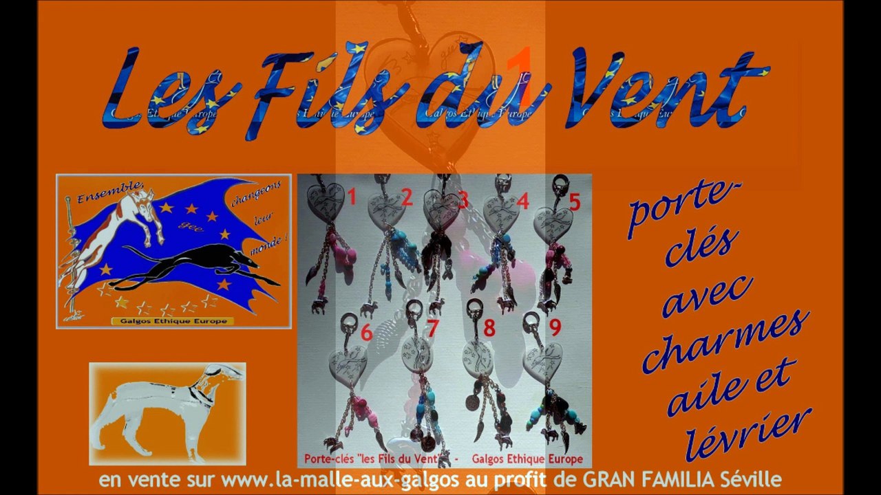 les-fils-du-vent-la-malle-aux-galgos-ethique-europe-appel-gran-familia-seville