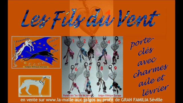 les-fils-du-vent-la-malle-aux-galgos-ethique-europe-appel-gran-familia-seville