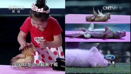 Une jeune fille chinoise hypnotise des animaux et les fait dormir