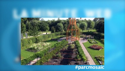 La minute web du 20 août 2015