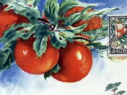 RABA RABA by CHEB KHALED