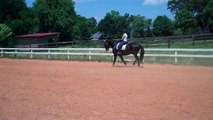 Canter. 2nd level balance and contact. 6th time! S4 Dressage training Tryon.NC